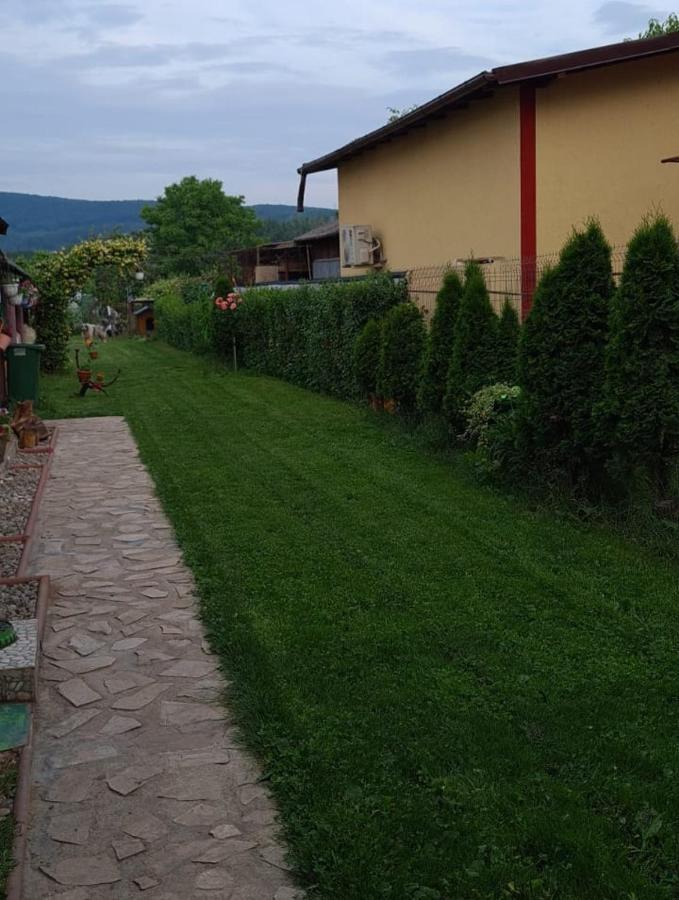 Casa Ursului Hotel Bujoreni Bagian luar foto