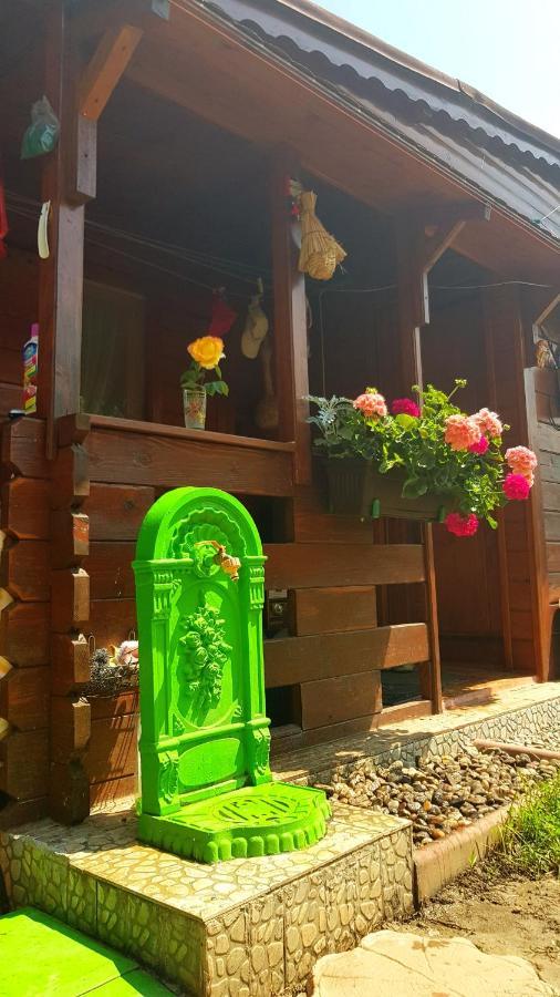 Casa Ursului Hotel Bujoreni Bagian luar foto